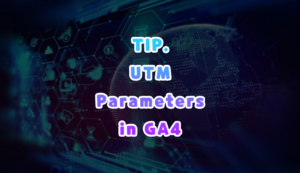 UTM 매개변수